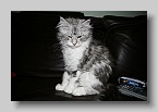 Afbeelding_089