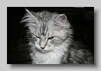 Afbeelding_090