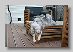 IMG_5949