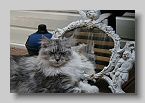 IMG_5950