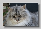 IMG_6044