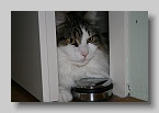 IMG_6120