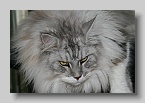 IMG_6605