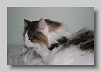IMG_6606