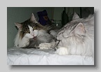 IMG_6607